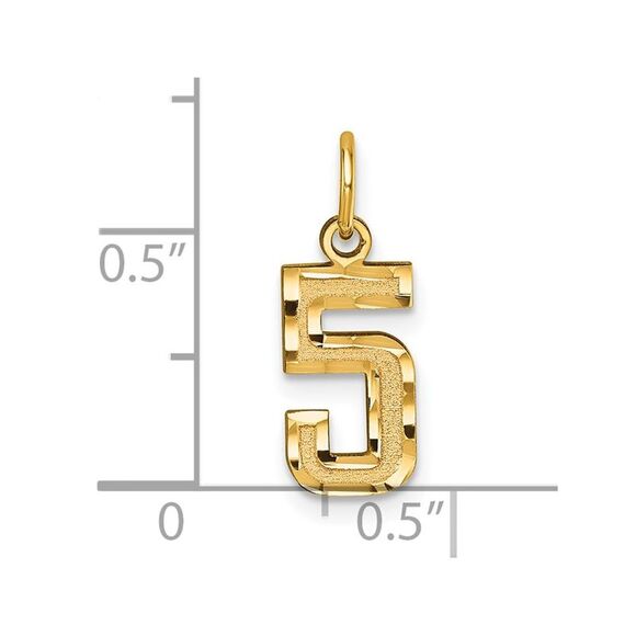 14k Yellow Gold, Varsity Collection, Small D/C Pendant Number 5 - Picture 4 of 5